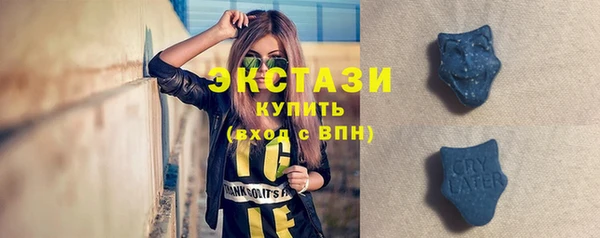 индика Бугульма