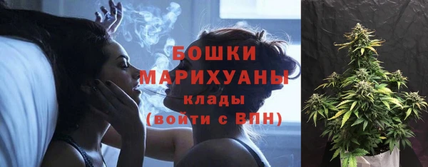 сатива Бронницы