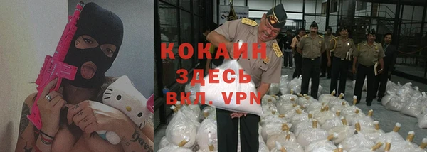 ГАЛЛЮЦИНОГЕННЫЕ ГРИБЫ Бородино
