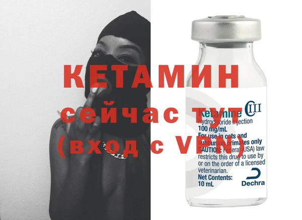 сатива Бронницы