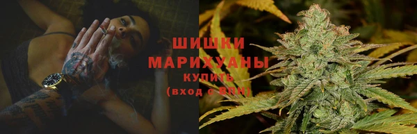 индика Бугульма