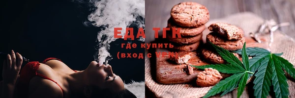 индика Бугульма