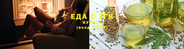 индика Бугульма