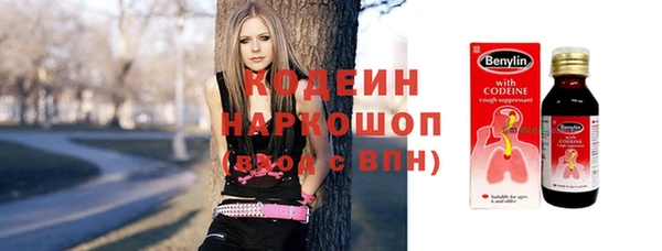 индика Бугульма