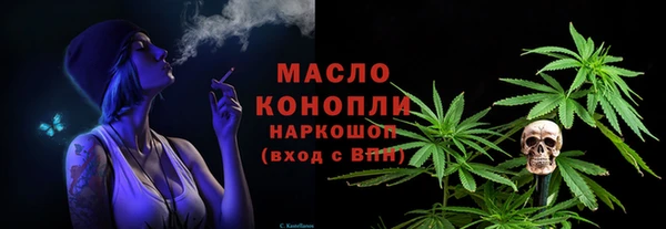 индика Бугульма