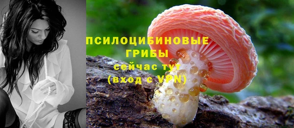 сатива Бронницы