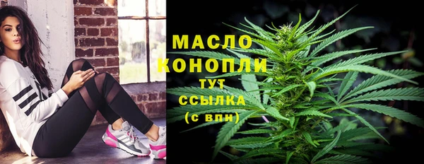 индика Бугульма