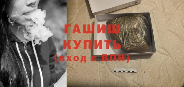 ГАЛЛЮЦИНОГЕННЫЕ ГРИБЫ Бородино