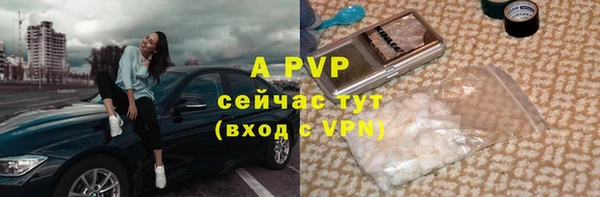 сатива Бронницы